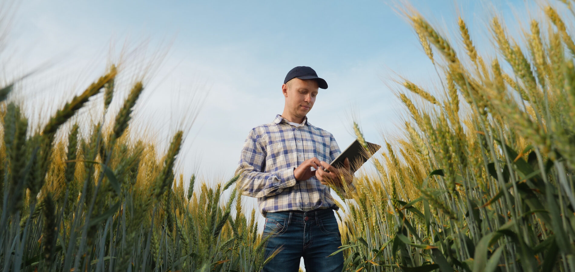 Förderung in der Landwirtschaft