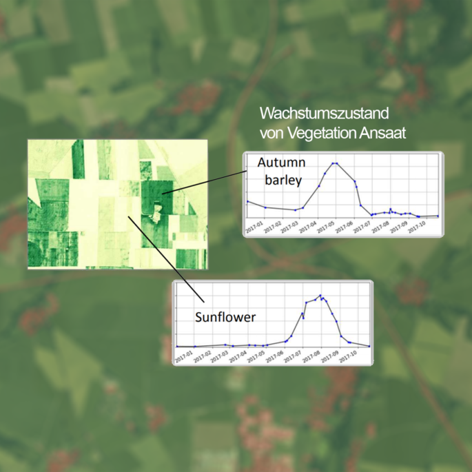 KI-Auswertung landwirtschaftlicher Nutzflächen